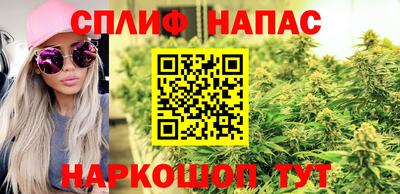 прущие крисы Магадан