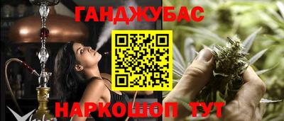 стаф Лесосибирск