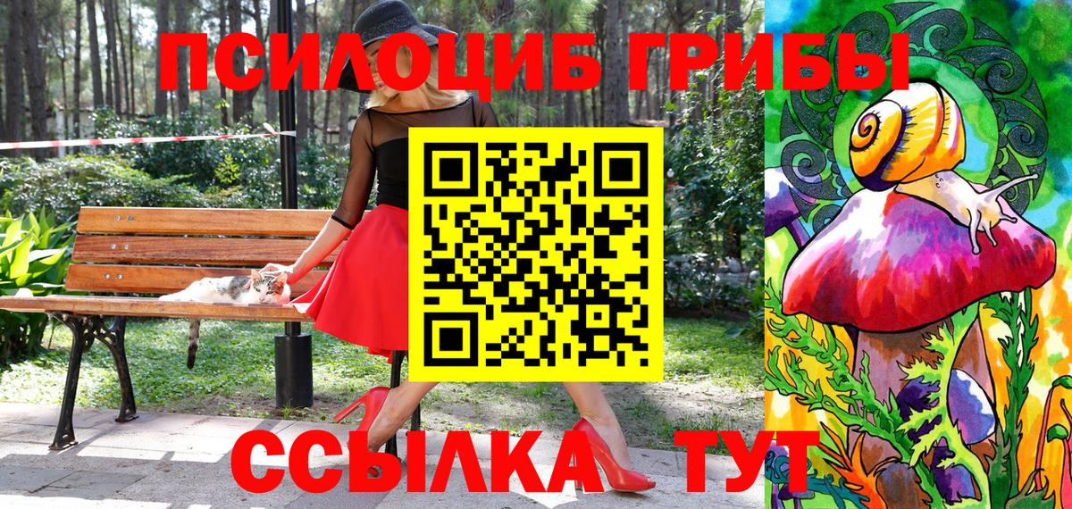 Галлюциногенные грибы Psilocybine cubensis  Вход с VPN  Зеленодольск 