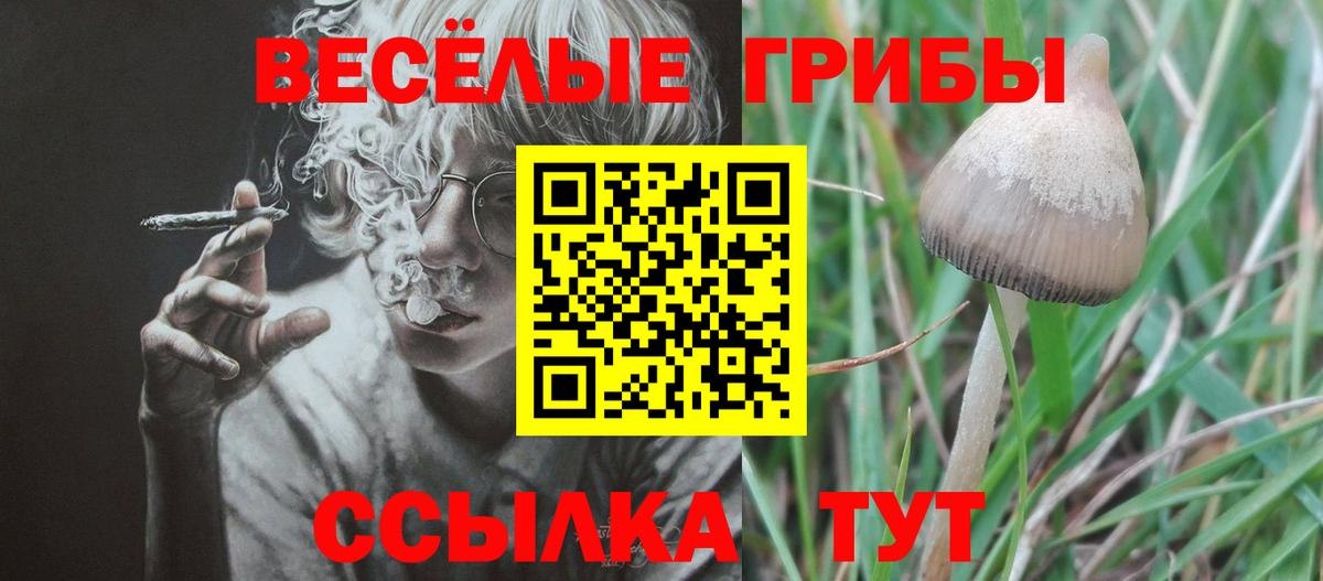 Псилоцибиновые грибы мицелий Зеленодольск